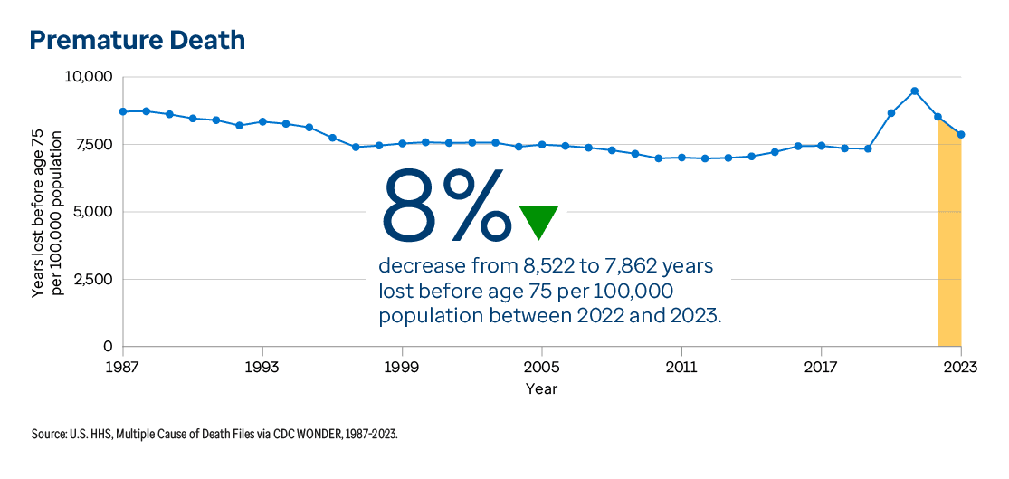 Graphic representation of Premature Death information contained on this page. Download the full report PDF from the report Overview page for details.